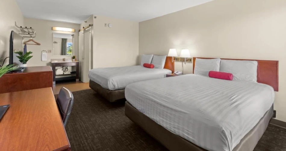 Find the Best Hotels Near Knott's Berry Farm for Your Perfect Stay
